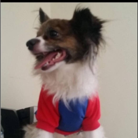 Meet your Posher, Jose - Picture 3 of 3